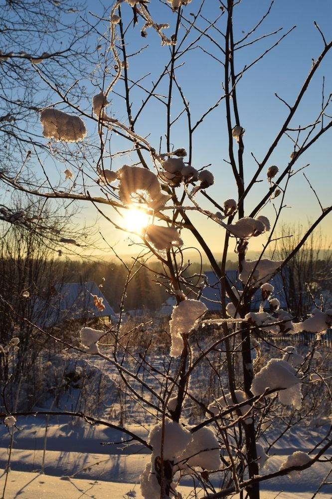 Зимнее солнышко