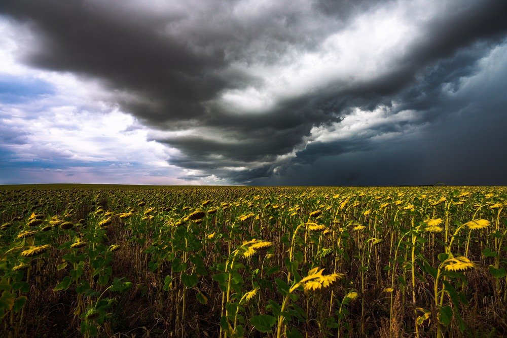 на границе стихии