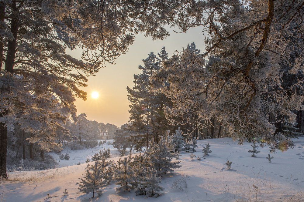 Зимний вечер