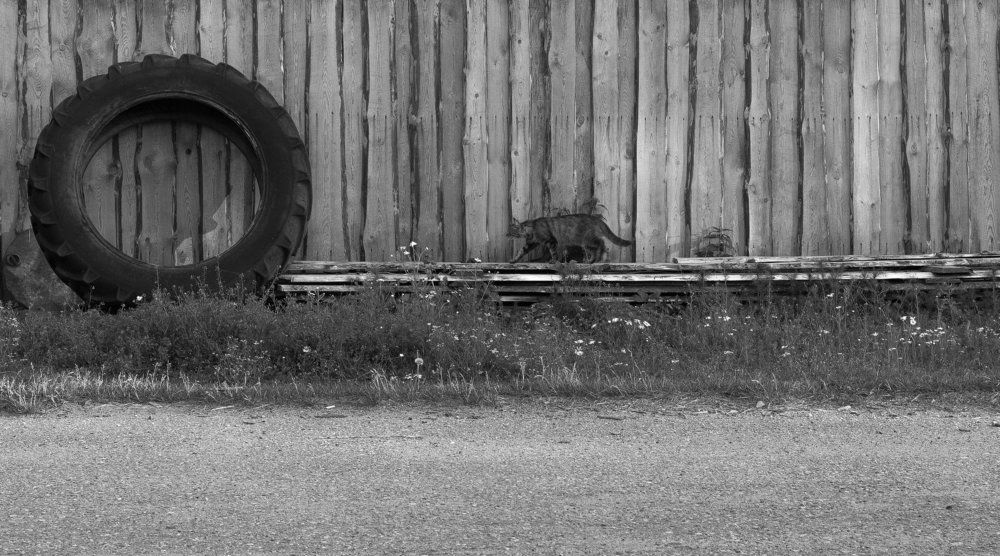 колесо фортуны