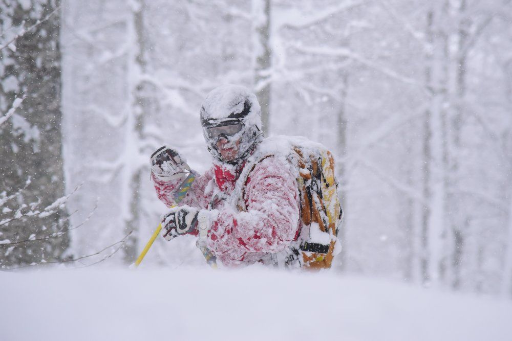 Снежный человек