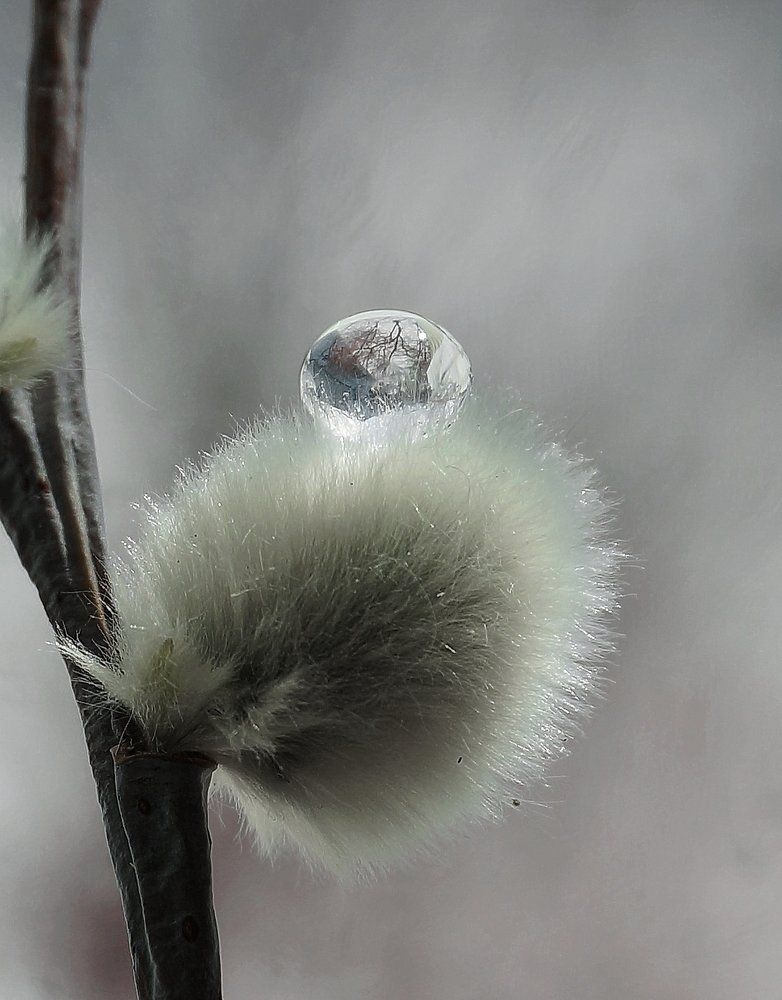 Photograph by Карпович Ольга Сергеевна