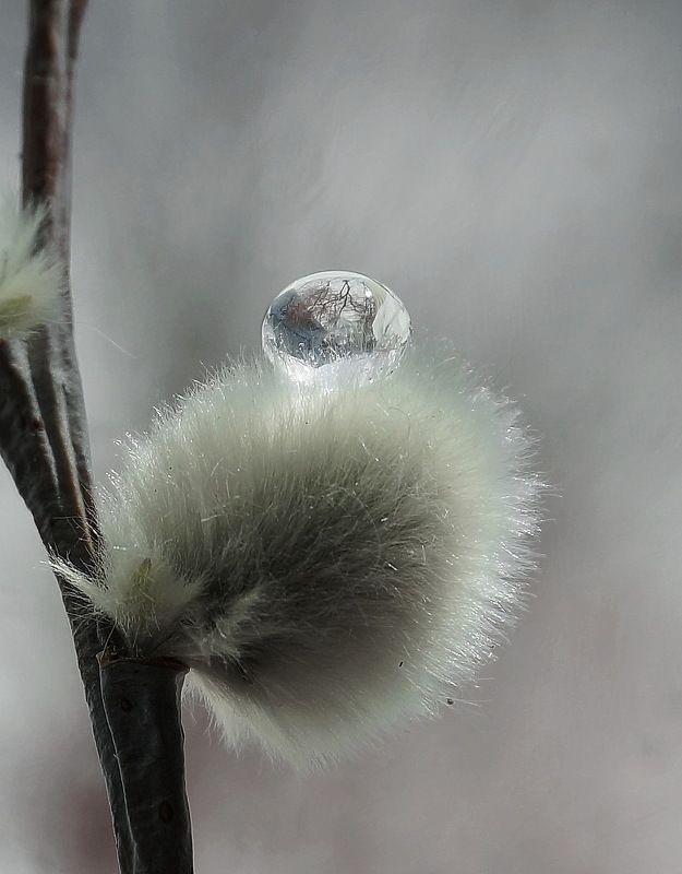 Карпович Ольга Сергеевна, Russia