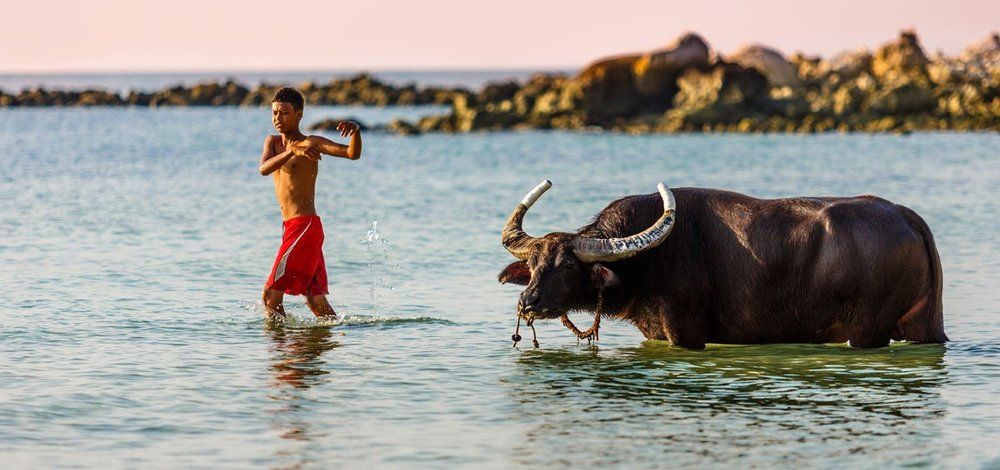 Танцующий на закате