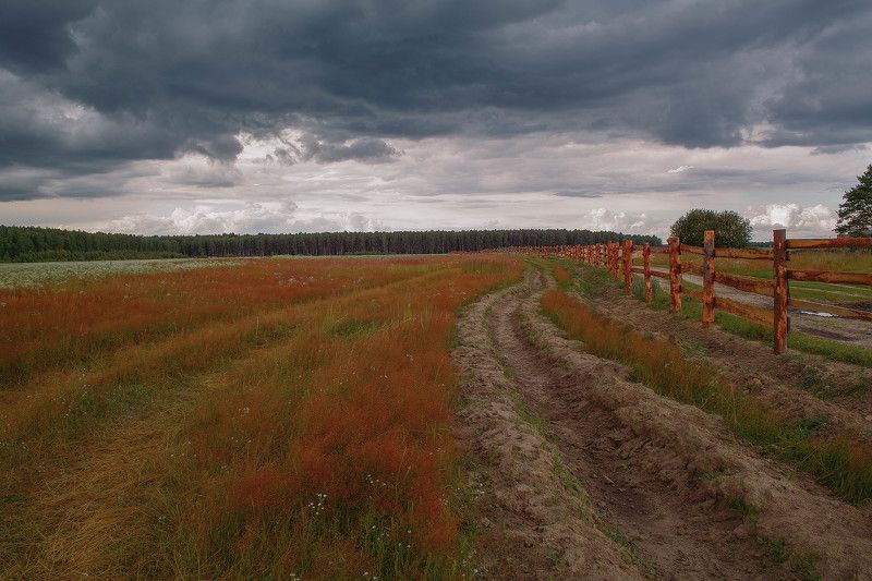 Дмитрий, Russia