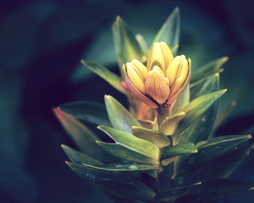 Photograph by Грязев Сергей