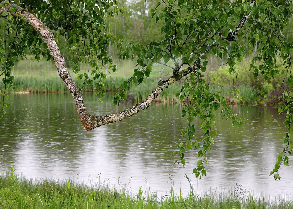 Photograph by Юрий Спасенников