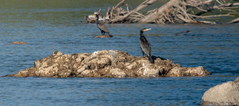 Photograph by Милан Ђорђевић