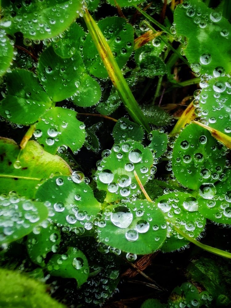 Photograph by Елена Артёменко