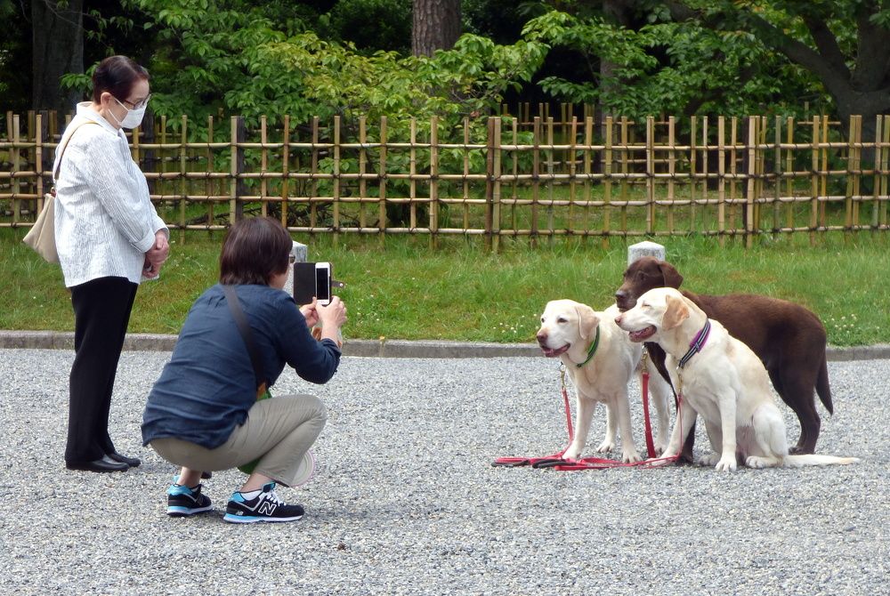 Photograph by Pjotr Alekseev