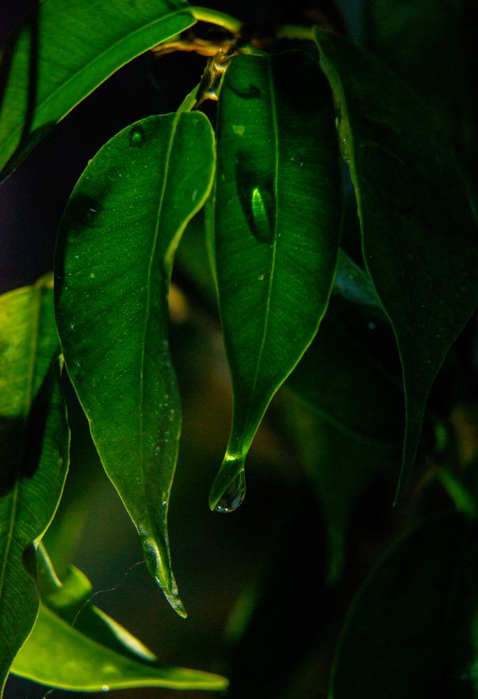 Photograph by Кирилл Владыкин