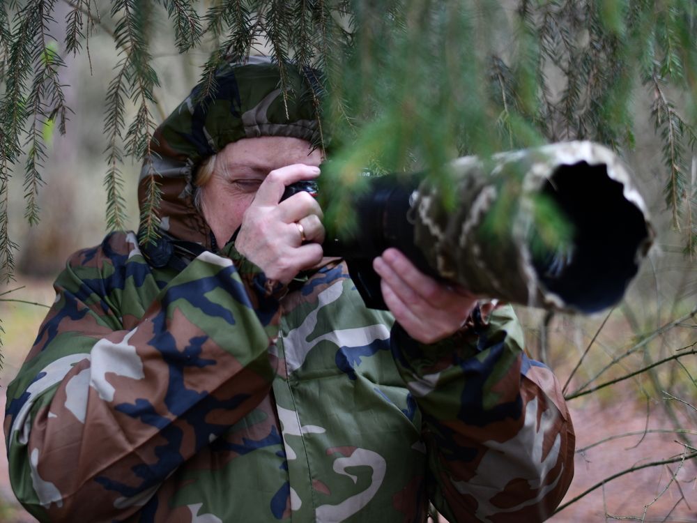 Photograph by Николай Абакумов