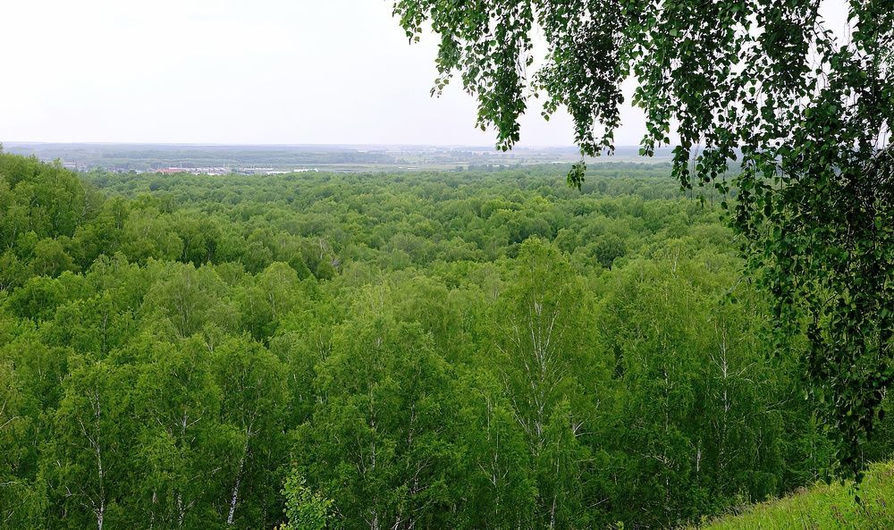 Photograph by Юрий Спасенников