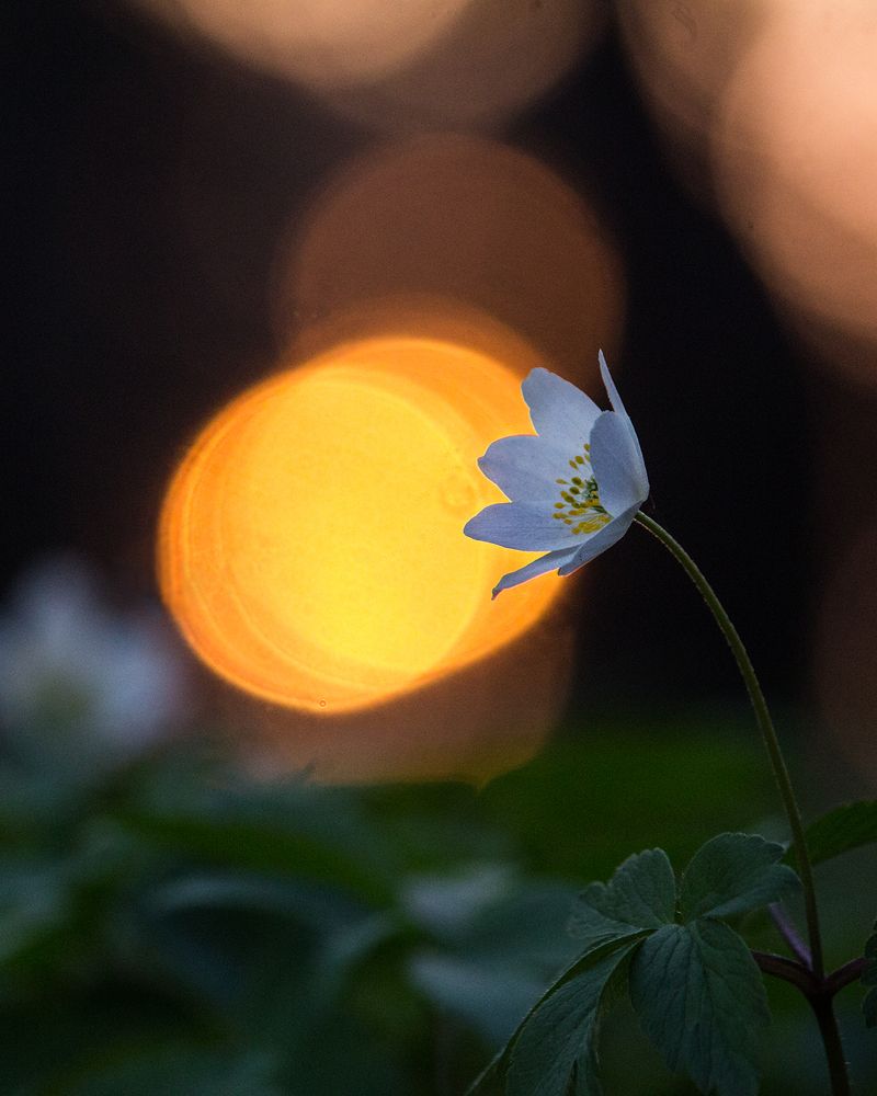 Фотография автора Борис Журавлёв