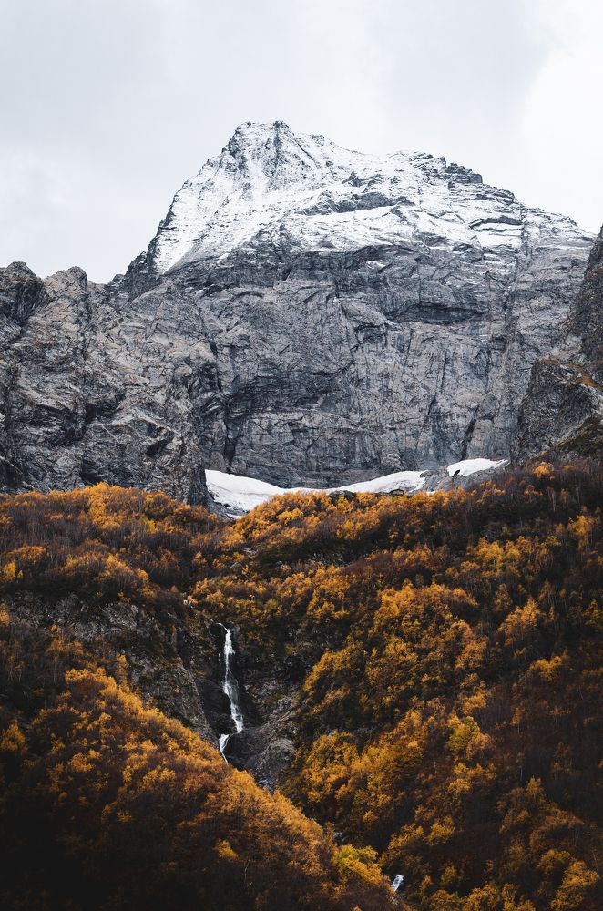 Фотография #11400153