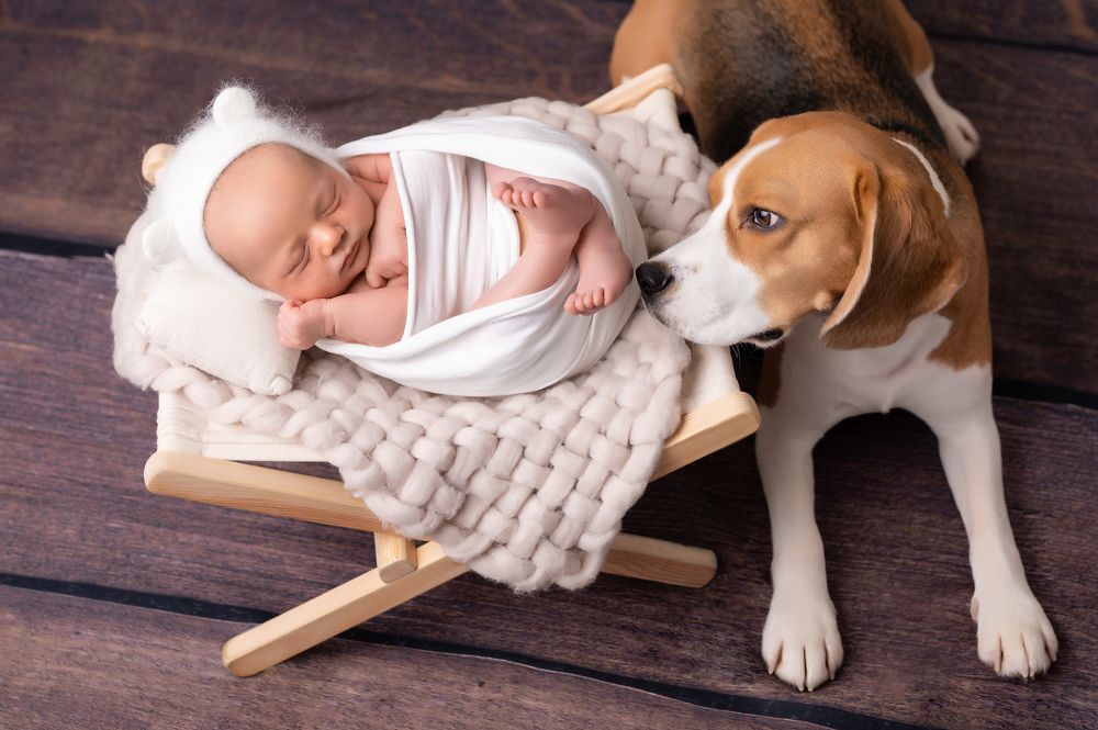 Photograph by Татьяна Тарасенко