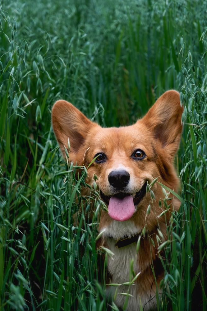 Photograph by Валерия Дурнева