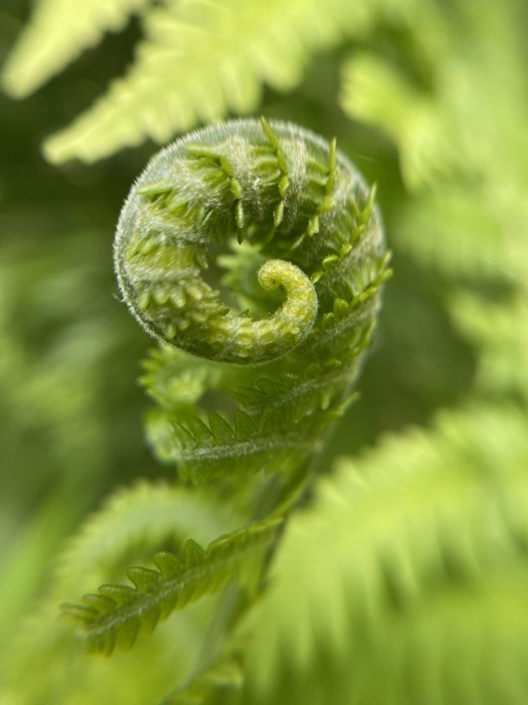 Photograph by Ольга Осинина