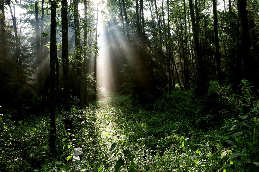 Photograph by Мария Самолевич