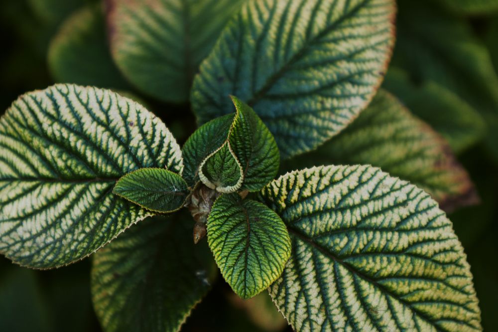 Photograph by Мария Самолевич