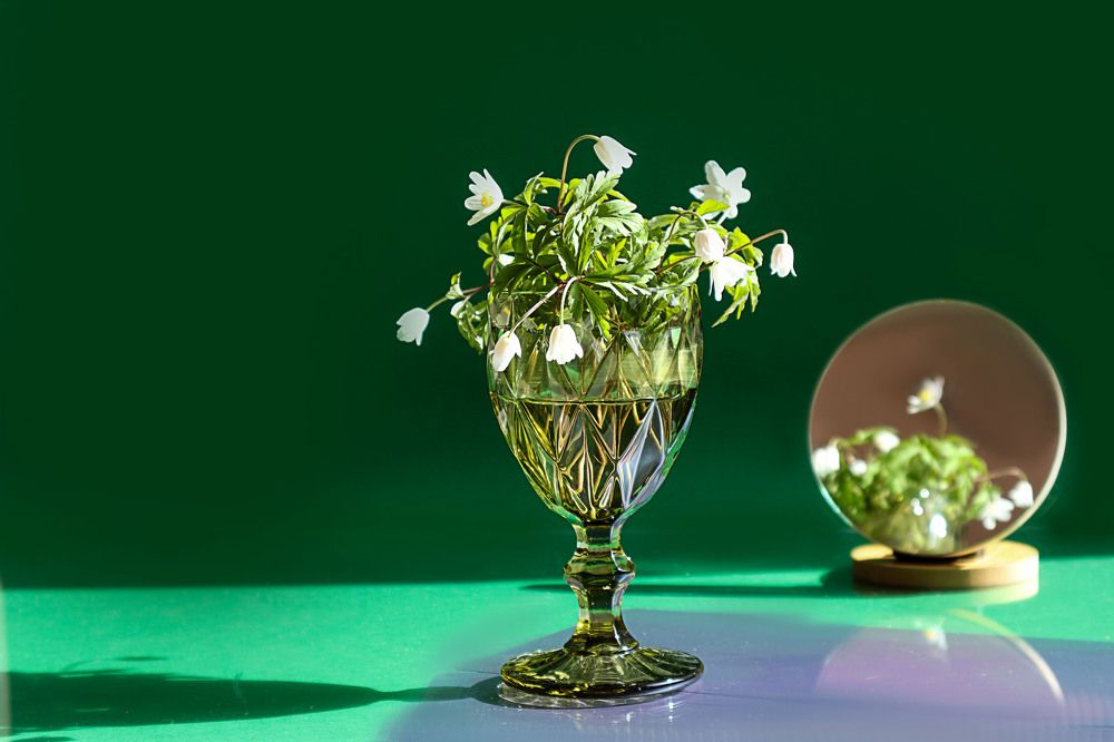 Photograph by Мария Самолевич