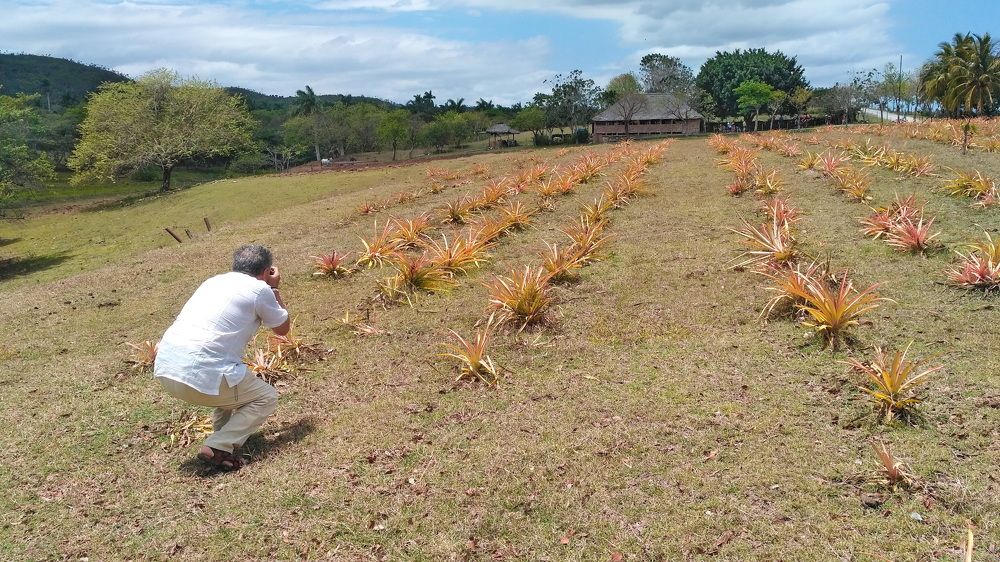 Фотография автора Анатолий Дауров