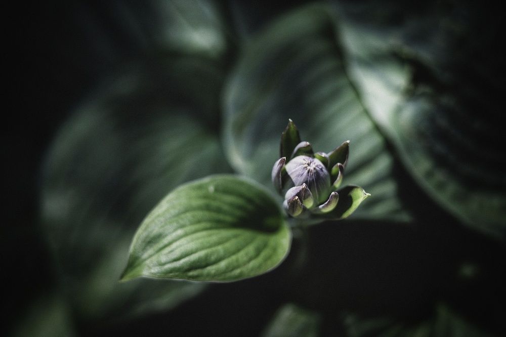 Photograph by Александра Кропивка