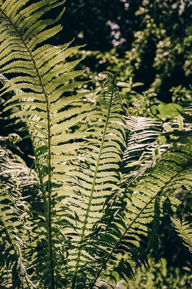 Photograph by Александра Кропивка