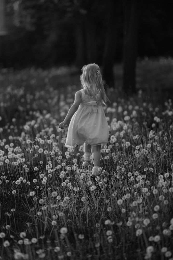 Фотография автора Светлана Зимина