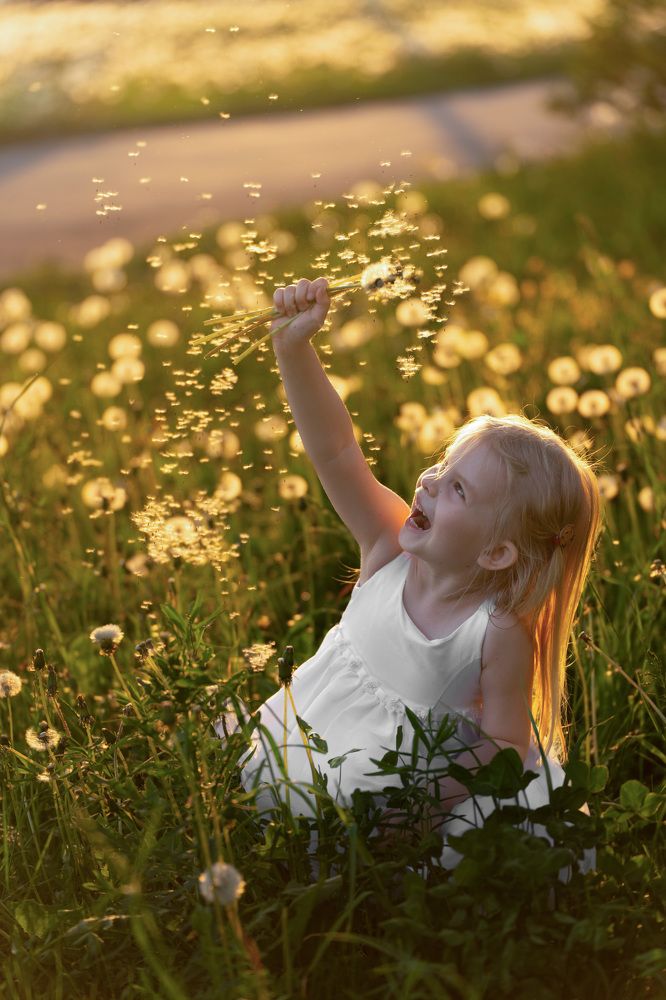 Фотография автора Светлана Зимина