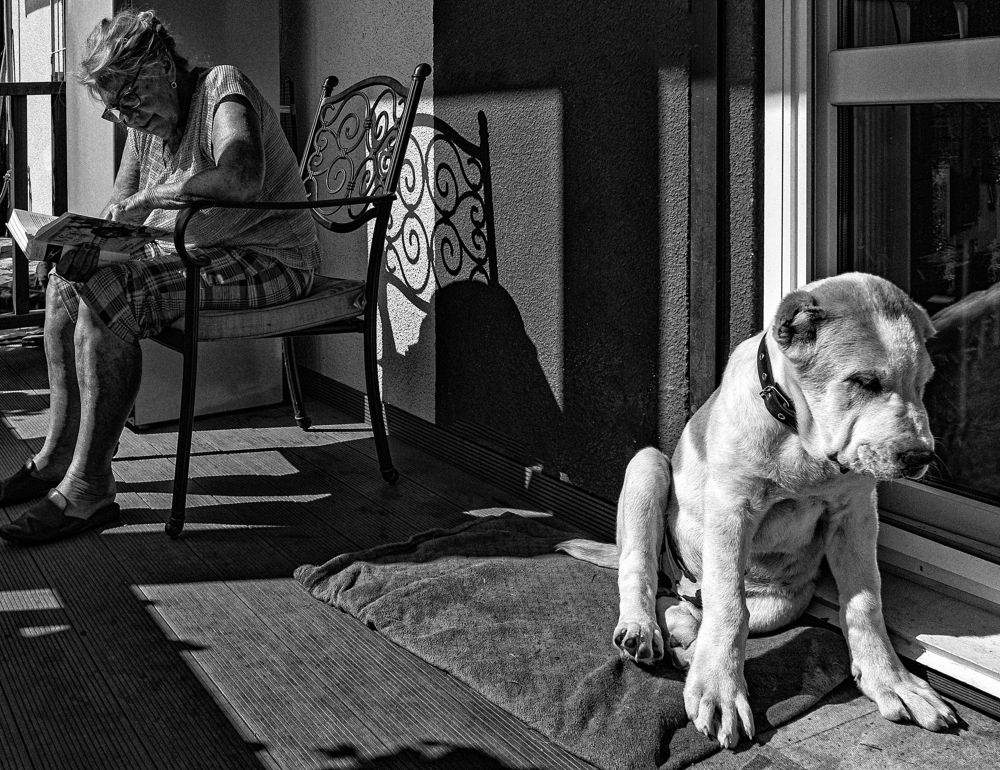 Photograph by Житецкий Игорь