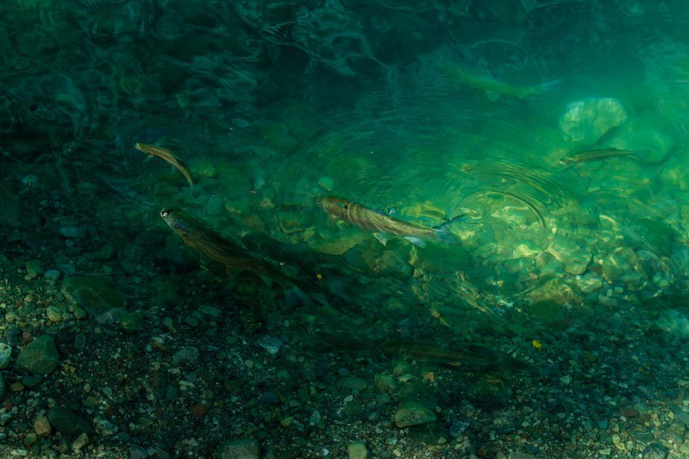 Photograph by Дьяченко Алёна