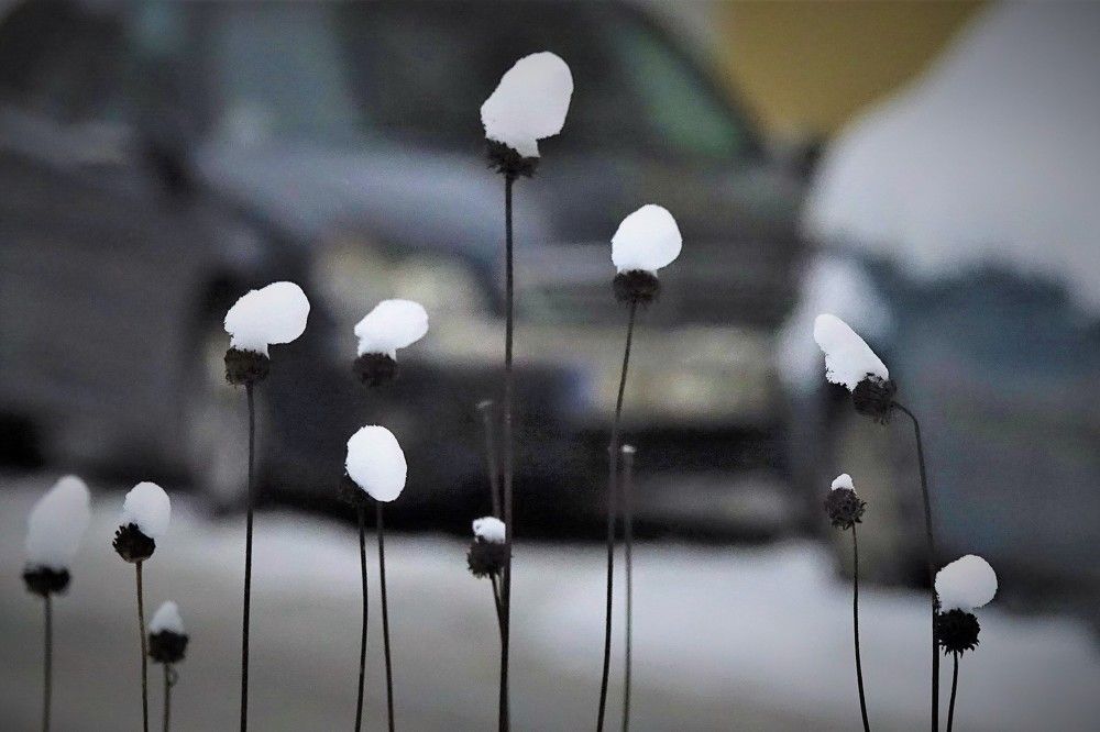 Photograph by jelena konickaja