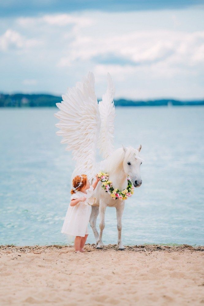 Фотография автора Дарья Лещенко