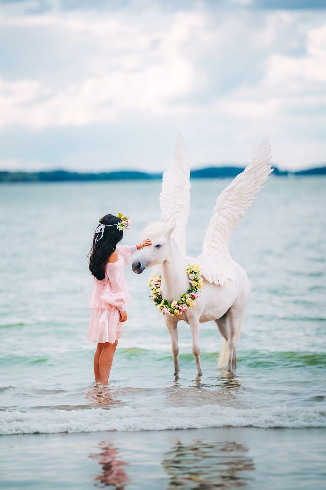 Встреча со сказочным Единорогом