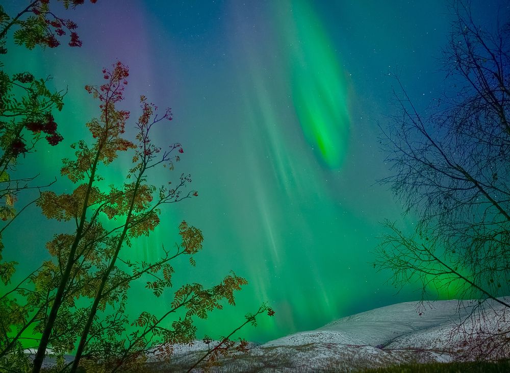 Photograph by Елизавета Нефедова