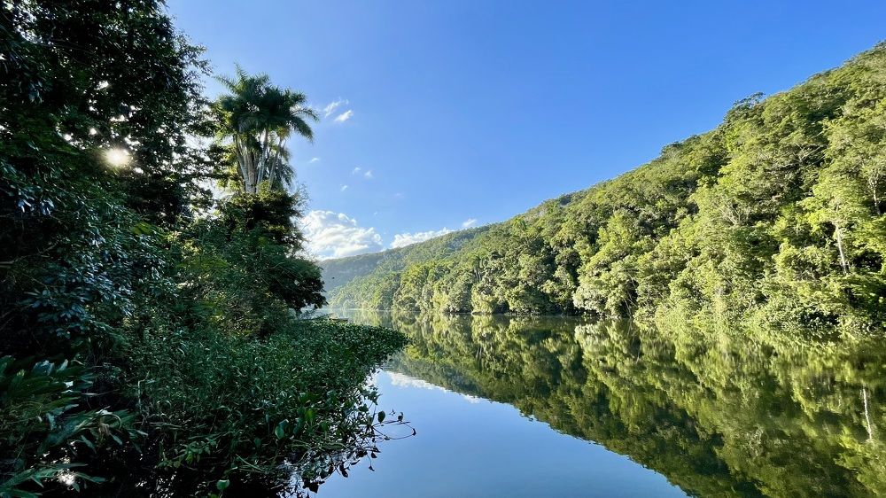 Фотография автора Юлия Шумейко