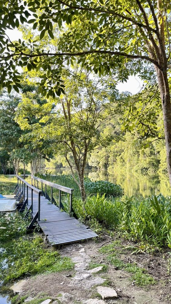 Фотография автора Юлия Шумейко