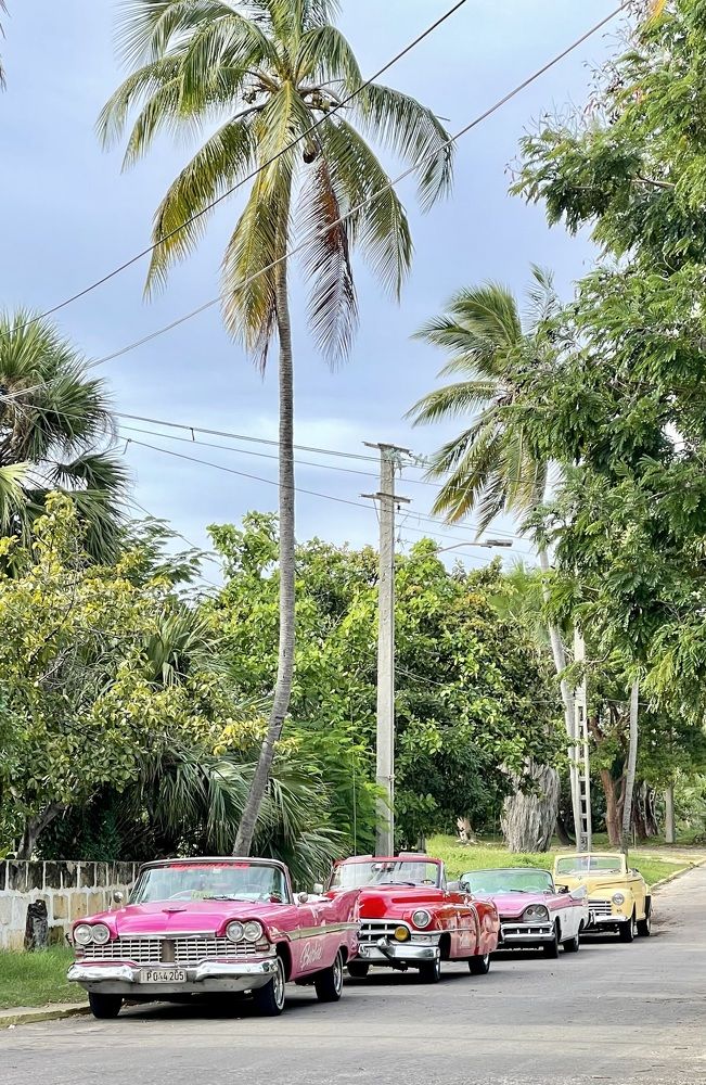 Фотография автора Юлия Шумейко