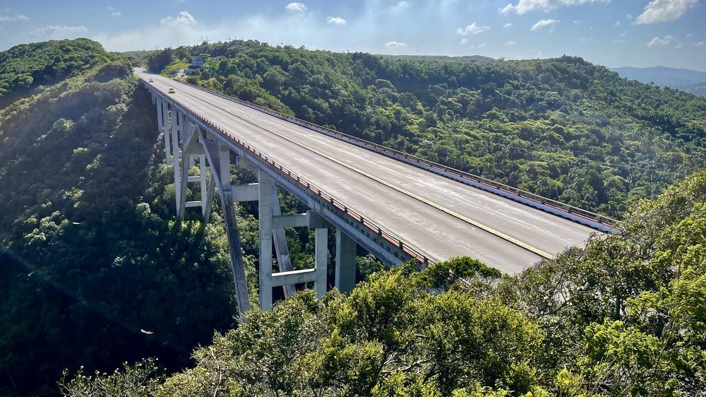 Фотография автора Юлия Шумейко