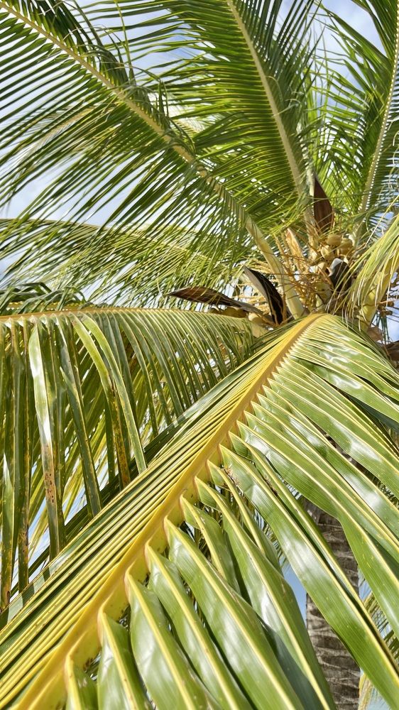 Фотография автора Юлия Шумейко