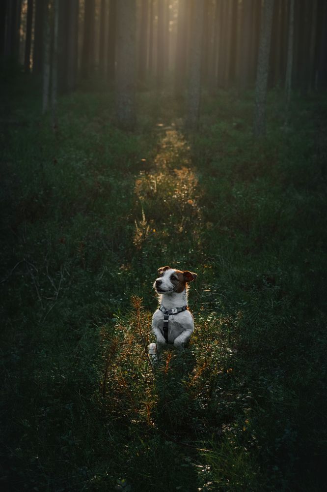 Photograph by Татьяна Степанова