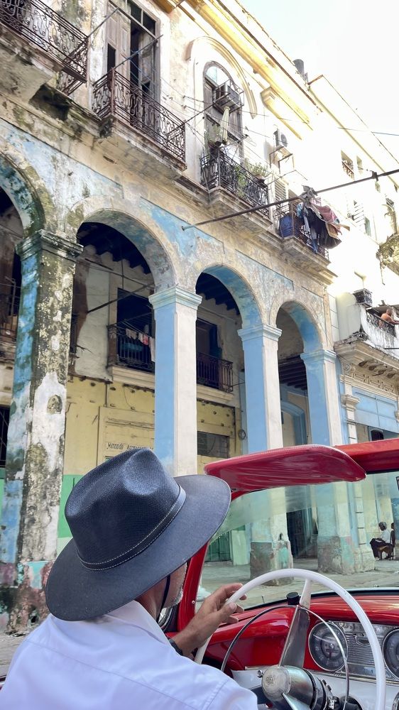 Фотография автора Юлия Шумейко