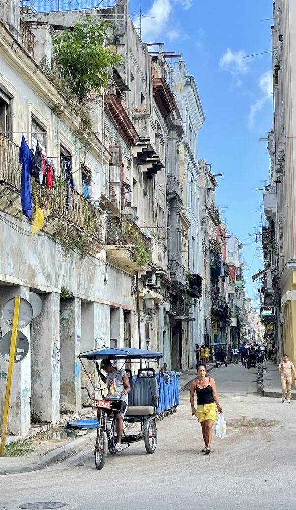 Фотография автора Юлия Шумейко