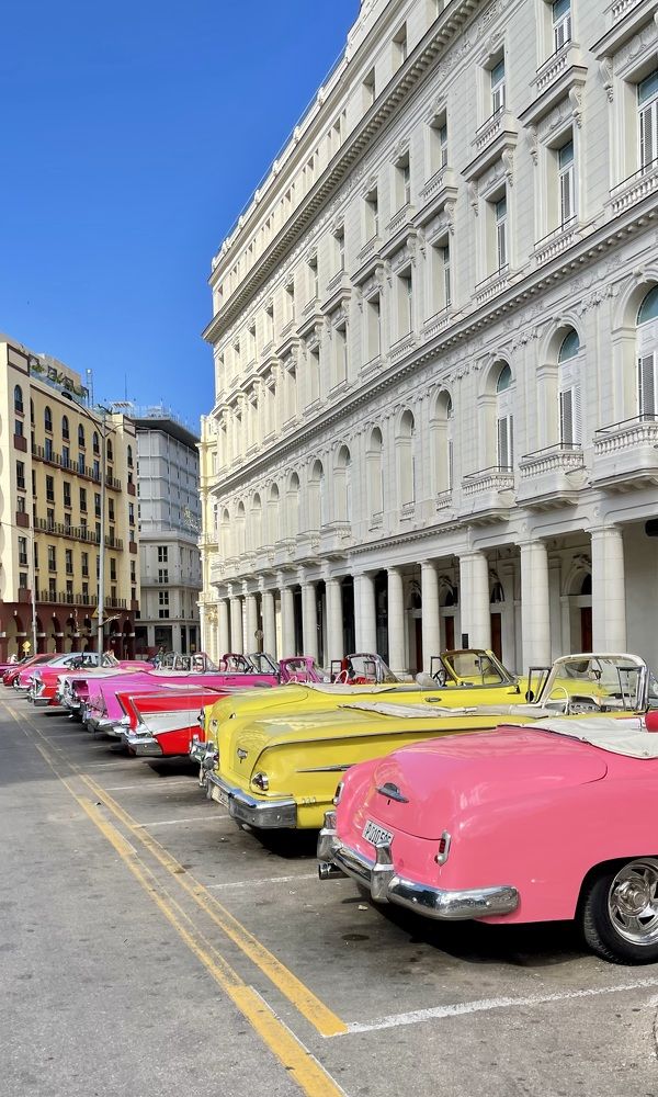 Фотография автора Юлия Шумейко