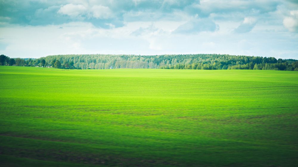 Фотография автора yakuwari