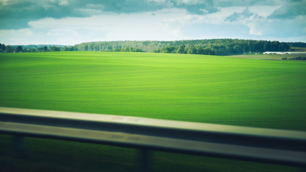 Фотография автора yakuwari