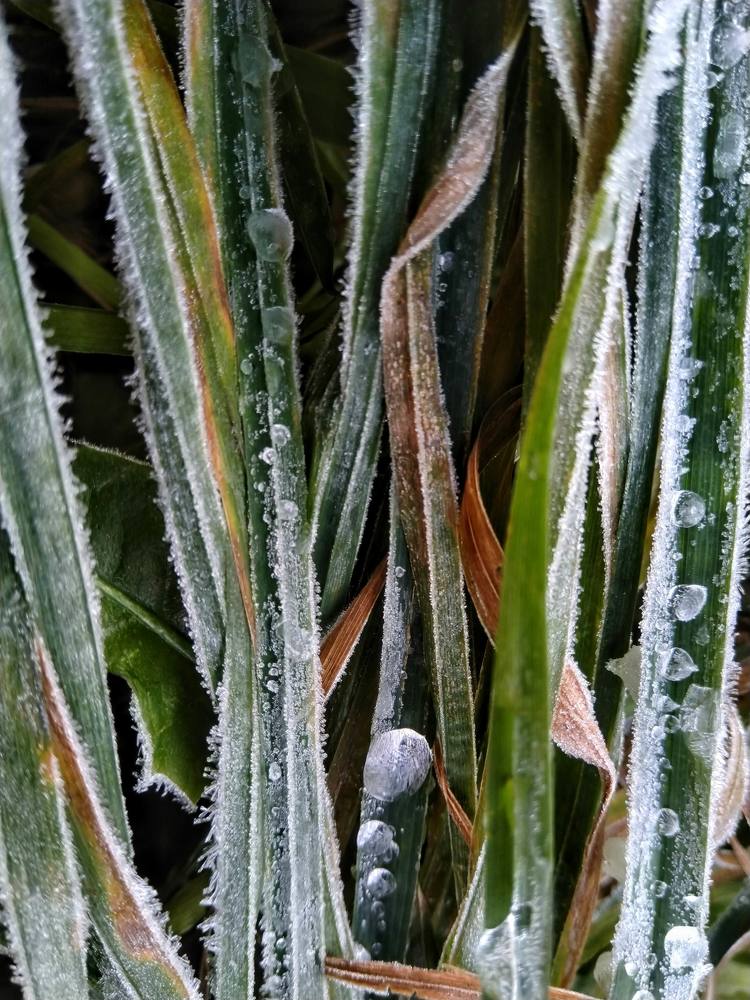 Photograph by Надежда Козлова