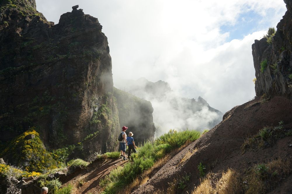 Фотография автора Светлана Зимина