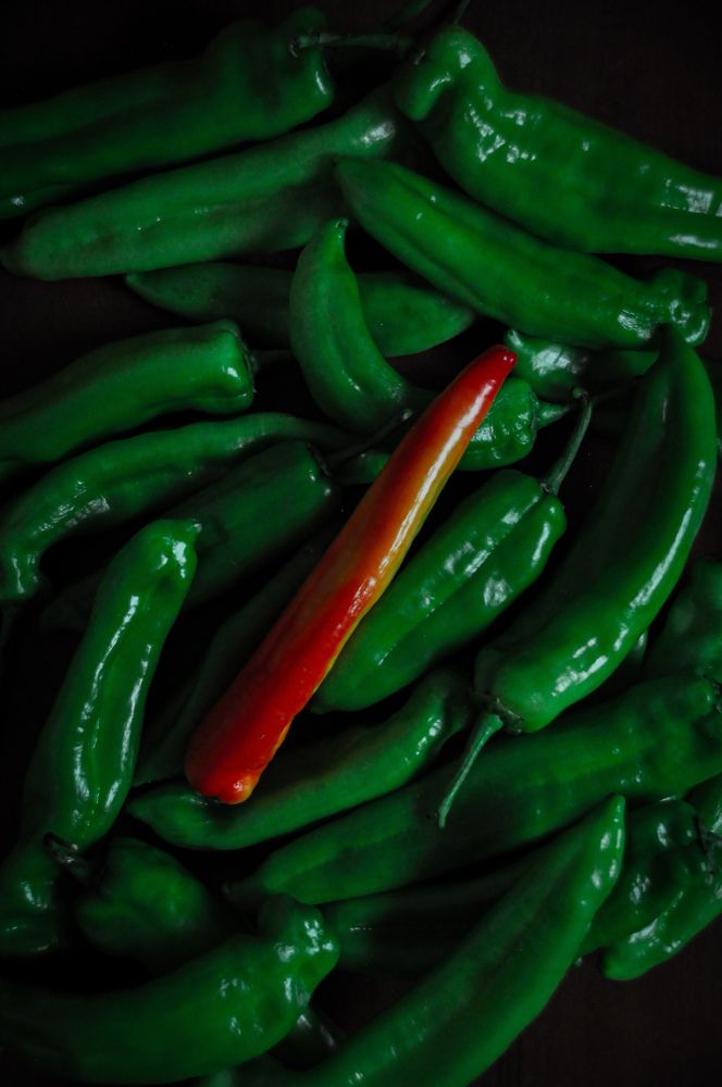 Фотография автора Souma